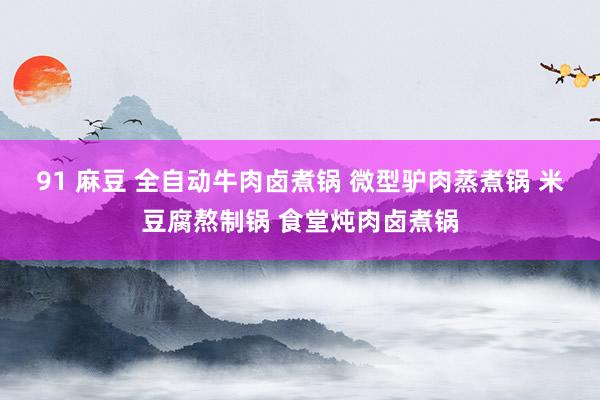 91 麻豆 全自动牛肉卤煮锅 微型驴肉蒸煮锅 米豆腐熬制锅 食堂炖肉卤煮锅