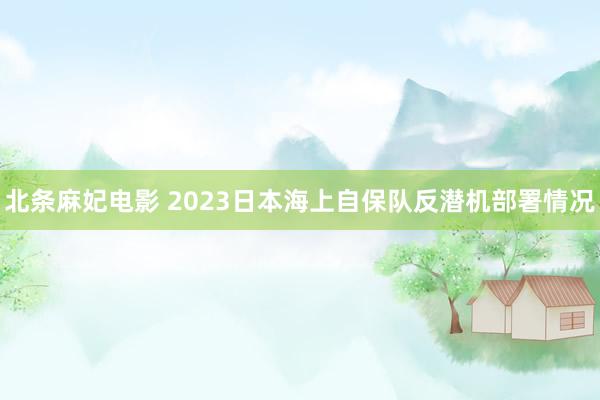 北条麻妃电影 2023日本海上自保队反潜机部署情况