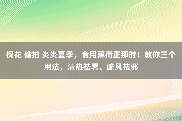 探花 偷拍 炎炎夏季，食用薄荷正那时！教你三个用法，清热祛暑、疏风祛邪