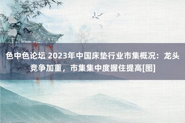 色中色论坛 2023年中国床垫行业市集概况：龙头竞争加重，市集集中度握住提高[图]