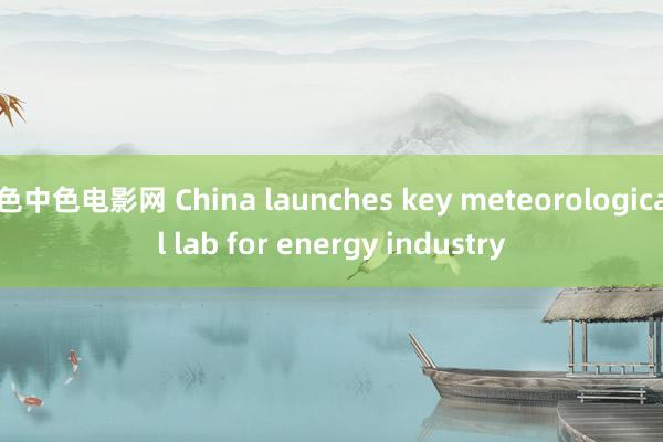 色中色电影网 China launches key meteorological lab for energy industry