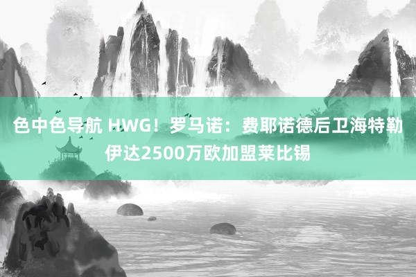 色中色导航 HWG！罗马诺：费耶诺德后卫海特勒伊达2500万欧加盟莱比锡