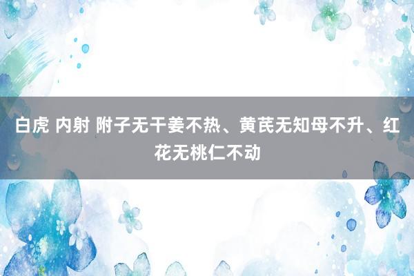 白虎 内射 附子无干姜不热、黄芪无知母不升、红花无桃仁不动