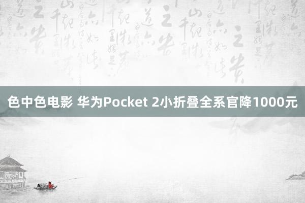 色中色电影 华为Pocket 2小折叠全系官降1000元