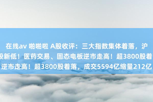 在线av 啪啪啦 A股收评：三大指数集体着落，沪指收报2784点续创阶段新低！医药交易、固态电板逆市走高！超3800股着落，成交5594亿缩量212亿