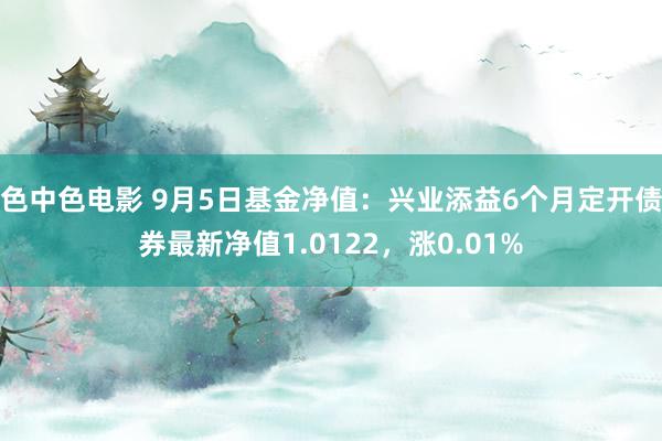 色中色电影 9月5日基金净值：兴业添益6个月定开债券最新净值1.0122，涨0.01%