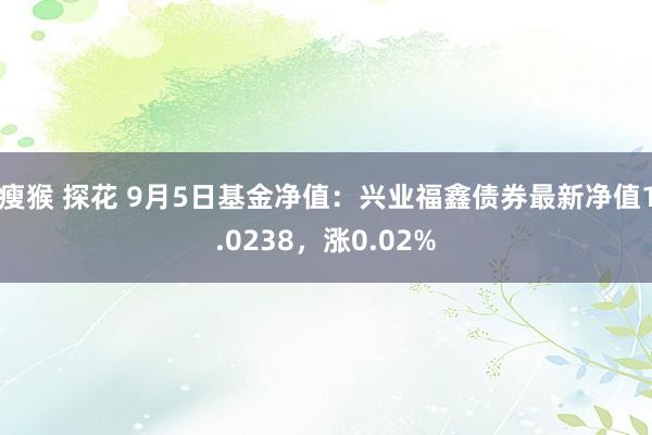 瘦猴 探花 9月5日基金净值：兴业福鑫债券最新净值1.0238，涨0.02%