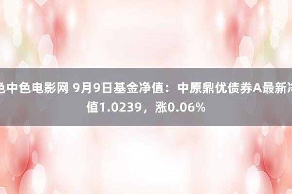 色中色电影网 9月9日基金净值：中原鼎优债券A最新净值1.0239，涨0.06%