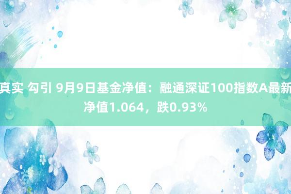 真实 勾引 9月9日基金净值：融通深证100指数A最新净值1.064，跌0.93%