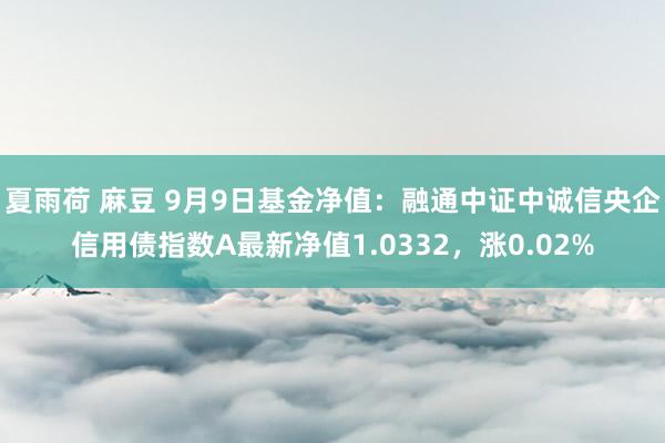 夏雨荷 麻豆 9月9日基金净值：融通中证中诚信央企信用债指数A最新净值1.0332，涨0.02%