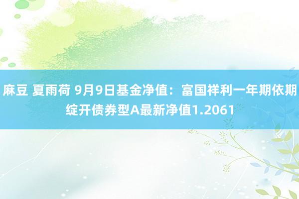 麻豆 夏雨荷 9月9日基金净值：富国祥利一年期依期绽开债券型A最新净值1.2061