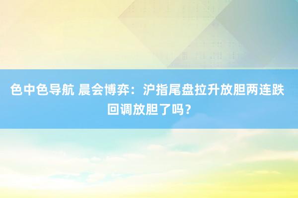 色中色导航 晨会博弈：沪指尾盘拉升放胆两连跌 回调放胆了吗？