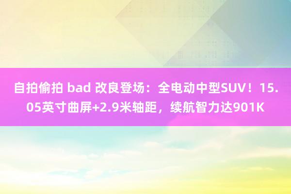 自拍偷拍 bad 改良登场：全电动中型SUV！15.05英寸曲屏+2.9米轴距，续航智力达901K