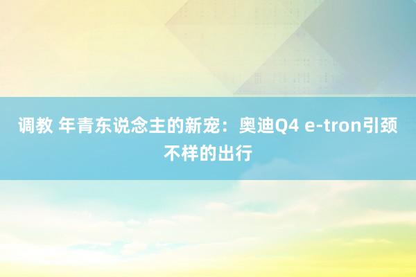 调教 年青东说念主的新宠：奥迪Q4 e-tron引颈不样的出行