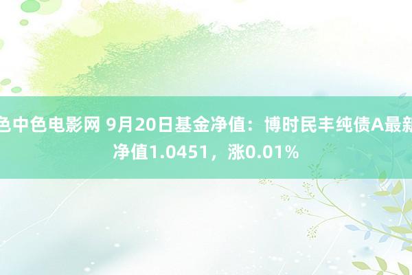 色中色电影网 9月20日基金净值：博时民丰纯债A最新净值1.0451，涨0.01%