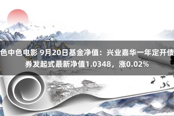 色中色电影 9月20日基金净值：兴业嘉华一年定开债券发起式最新净值1.0348，涨0.02%