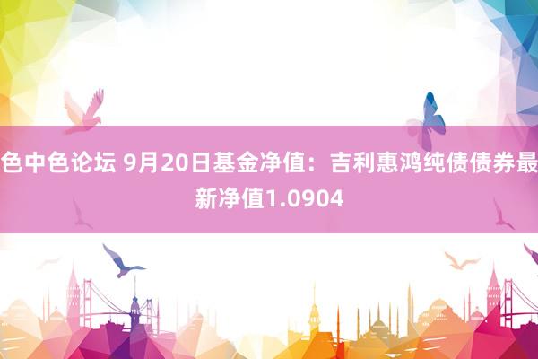 色中色论坛 9月20日基金净值：吉利惠鸿纯债债券最新净值1.0904