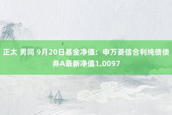 正太 男同 9月20日基金净值：申万菱信合利纯债债券A最新净值1.0097