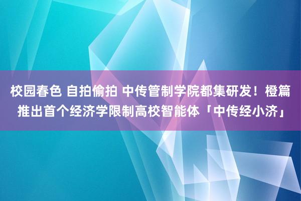 校园春色 自拍偷拍 中传管制学院都集研发！橙篇推出首个经济学限制高校智能体「中传经小济」