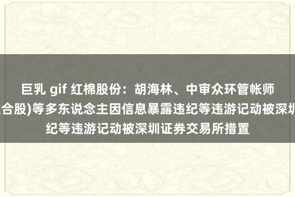 巨乳 gif 红棉股份：胡海林、中审众环管帐师事务所(特别普通合股)等多东说念主因信息暴露违纪等违游记动被深圳证券交易所措置