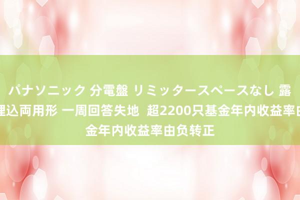 パナソニック 分電盤 リミッタースペースなし 露出・半埋込両用形 一周回答失地  超2200只基金年内收益率由负转正