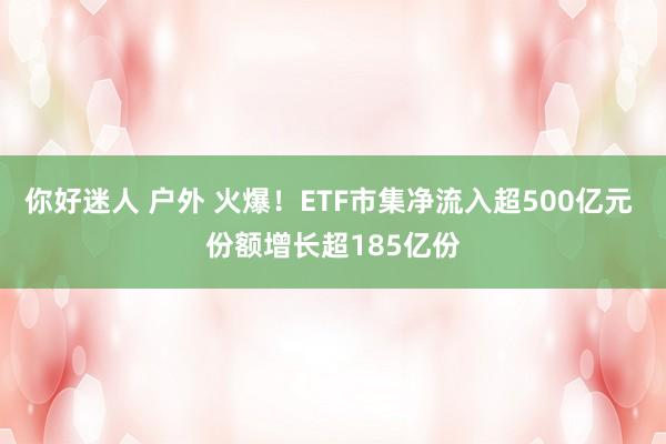 你好迷人 户外 火爆！ETF市集净流入超500亿元 份额增长超185亿份