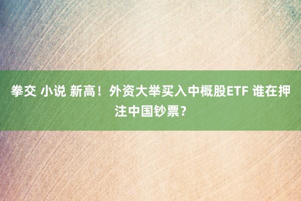 拳交 小说 新高！外资大举买入中概股ETF 谁在押注中国钞票？