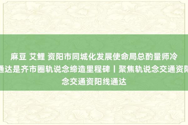 麻豆 艾鲤 资阳市同城化发展使命局总酌量师冷玲玲：通达是齐市圈轨说念缔造里程碑丨聚焦轨说念交通资阳线通达