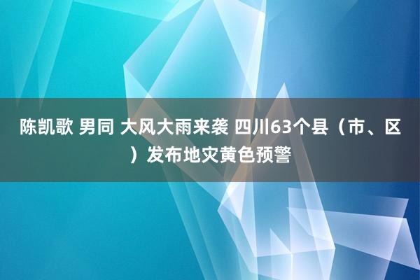 陈凯歌 男同 大风大雨来袭 四川63个县（市、区）发布地灾黄色预警