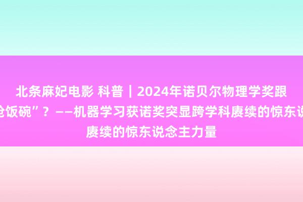 北条麻妃电影 科普｜2024年诺贝尔物理学奖跟图灵奖“抢饭碗”？——机器学习获诺奖突显跨学科赓续的惊东说念主力量