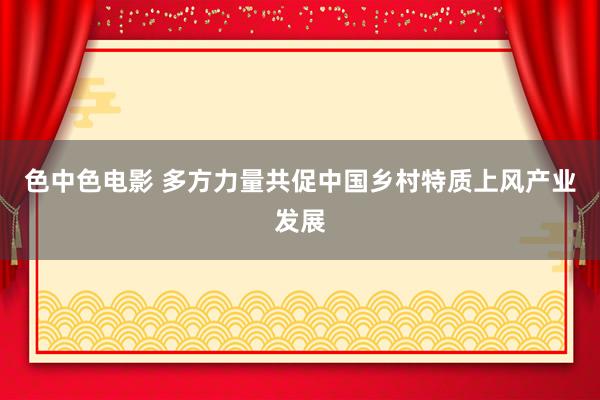 色中色电影 多方力量共促中国乡村特质上风产业发展