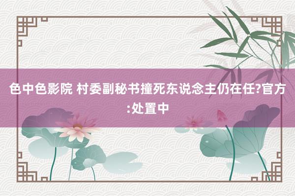 色中色影院 村委副秘书撞死东说念主仍在任?官方:处置中