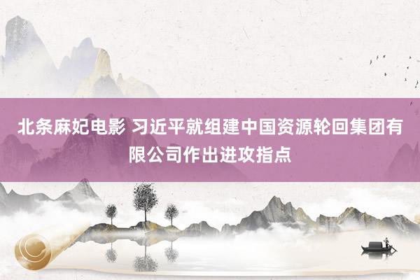 北条麻妃电影 习近平就组建中国资源轮回集团有限公司作出进攻指点