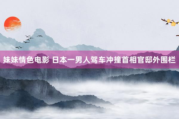 妹妹情色电影 日本一男人驾车冲撞首相官邸外围栏