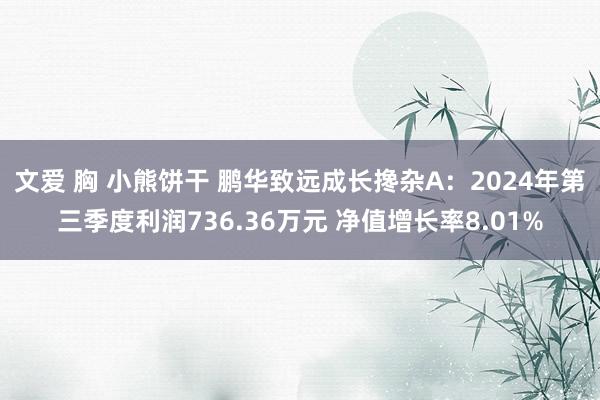 文爱 胸 小熊饼干 鹏华致远成长搀杂A：2024年第三季度利润736.36万元 净值增长率8.01%