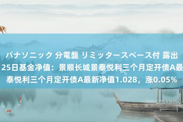 パナソニック 分電盤 リミッタースペース付 露出・半埋込両用形 10月25日基金净值：景顺长城景泰悦利三个月定开债A最新净值1.028，涨0.05%