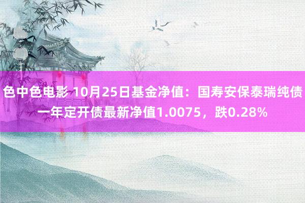 色中色电影 10月25日基金净值：国寿安保泰瑞纯债一年定开债最新净值1.0075，跌0.28%