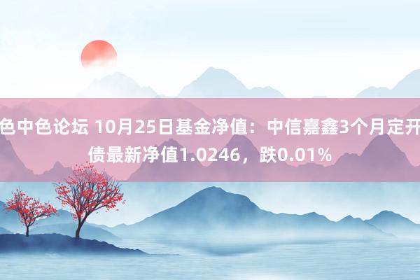 色中色论坛 10月25日基金净值：中信嘉鑫3个月定开债最新净值1.0246，跌0.01%