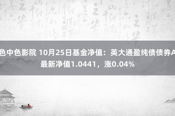 色中色影院 10月25日基金净值：英大通盈纯债债券A最新净值1.0441，涨0.04%