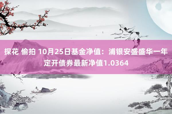 探花 偷拍 10月25日基金净值：浦银安盛盛华一年定开债券最新净值1.0364