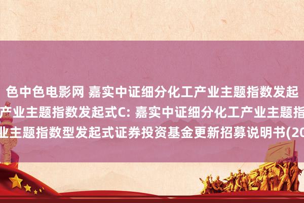 色中色电影网 嘉实中证细分化工产业主题指数发起式A，嘉实中证细分化工产业主题指数发起式C: 嘉实中证细分化工产业主题指数型发起式证券投资基金更新招募说明书(2024年10月28日更新)