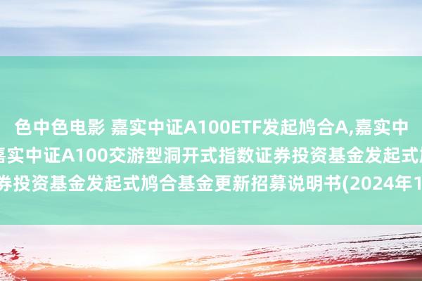 色中色电影 嘉实中证A100ETF发起鸠合A，嘉实中证A100ETF发起鸠合C: 嘉实中证A100交游型洞开式指数证券投资基金发起式鸠合基金更新招募说明书(2024年10月28日更新)