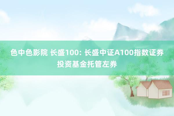 色中色影院 长盛100: 长盛中证A100指数证券投资基金托管左券