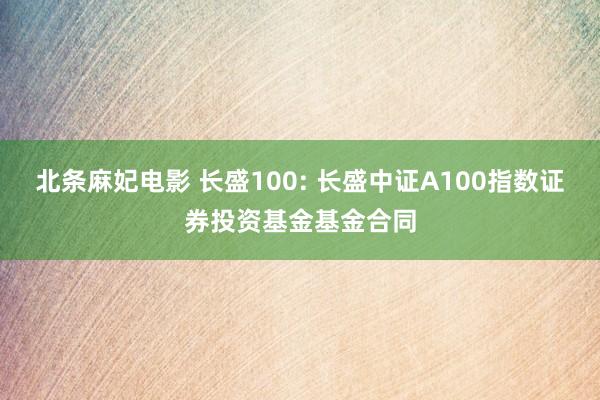 北条麻妃电影 长盛100: 长盛中证A100指数证券投资基金基金合同