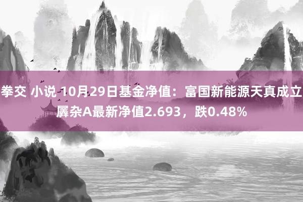 拳交 小说 10月29日基金净值：富国新能源天真成立羼杂A最新净值2.693，跌0.48%