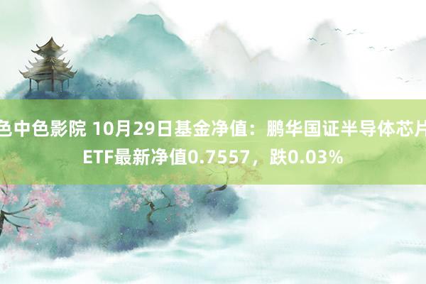 色中色影院 10月29日基金净值：鹏华国证半导体芯片ETF最新净值0.7557，跌0.03%