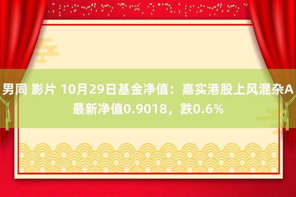 男同 影片 10月29日基金净值：嘉实港股上风混杂A最新净值0.9018，跌0.6%