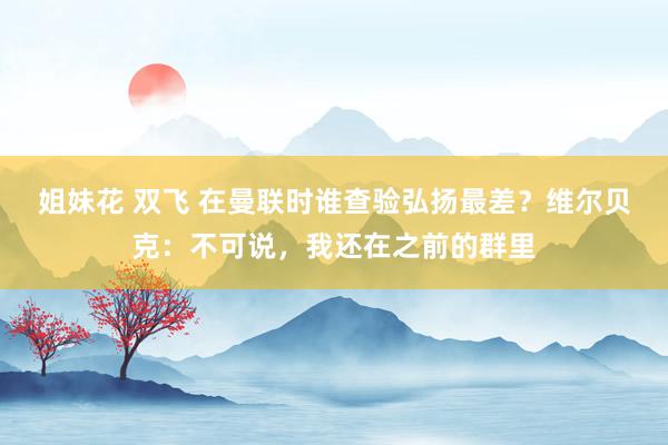 姐妹花 双飞 在曼联时谁查验弘扬最差？维尔贝克：不可说，我还在之前的群里