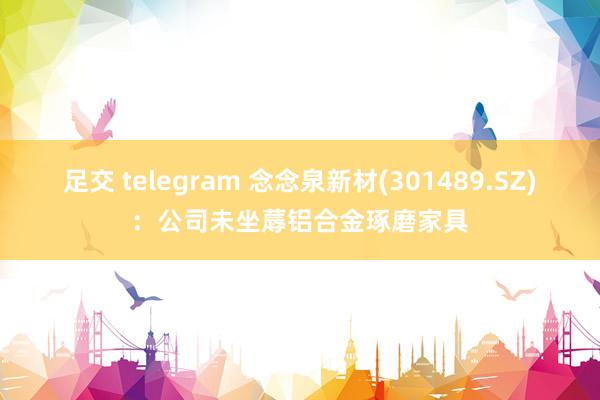 足交 telegram 念念泉新材(301489.SZ)：公司未坐蓐铝合金琢磨家具