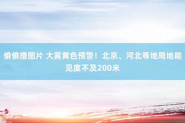 偷偷撸图片 大雾黄色预警！北京、河北等地局地能见度不及200米